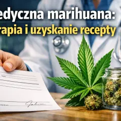 Lekarz podaje receptę, obok liść konopi i słoik z marihuaną medyczną.