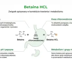 Betaina HCL to związek, który powstaje z betainy i kwasu chlorowodorowego. Betaina, czyli trimetyloglicyna, jest ważna dla trawienia.