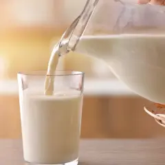 Mleko bez laktozy nalewane do szklanki. Czy mleko bez laktozy jest zdrowe? W koszyku owoce: pomarańcze i cytryny.