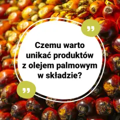 Kępki owoców palmy olejowej, z tekstem: "Czemu warto unikać produktów z olejem palmowym w składzie?".