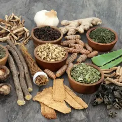 Zioła i korzenie, w tym imbir, kurkuma, lukrecja, czosnek i aloes, które mogą być przykładem tego, co to adaptogeny.