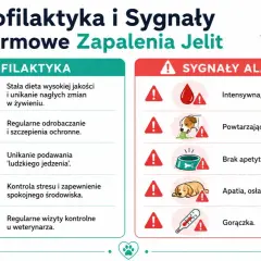 Objawy zapalenia jelit u psa: krwawa biegunka, wymioty, brak apetytu, apatia, gorączka. Profilaktyka to dieta, odrobaczanie, szczepienia.