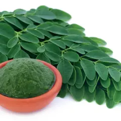 Moringa co to? Zielone liście i pasta z moringi w glinianej miseczce.