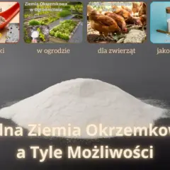 Ziemia okrzemkowa zastosowanie: na robaki, w ogrodzie, dla zwierząt, jako suplement. Jedna ziemia, wiele możliwości.