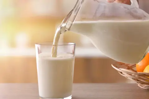 Mleko bez laktozy nalewane do szklanki. Czy mleko bez laktozy jest zdrowe? W koszyku owoce: pomarańcze i cytryny.