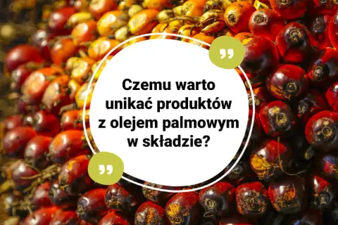 Kępki owoców palmy olejowej, z tekstem: "Czemu warto unikać produktów z olejem palmowym w składzie?".
