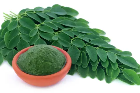 Moringa co to? Zielone liście i pasta z moringi w glinianej miseczce.