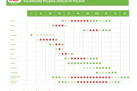 Kalendarz pylenia roślin w Polsce. Czerwone kropki oznaczają wysokie stężenie pyłków, które mogą wywołać alergię.