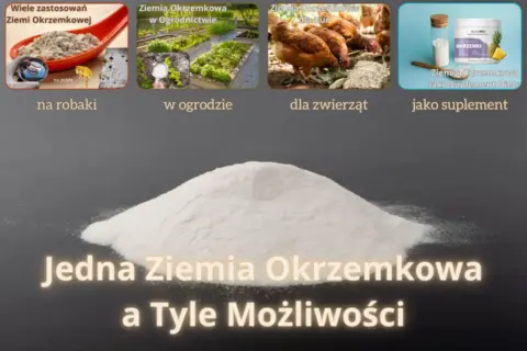 Ziemia okrzemkowa zastosowanie: na robaki, w ogrodzie, dla zwierząt, jako suplement. Jedna ziemia, wiele możliwości.