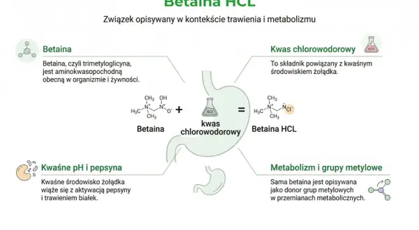 Betaina HCL to związek, który powstaje z betainy i kwasu chlorowodorowego. Betaina, czyli trimetyloglicyna, jest ważna dla trawienia.