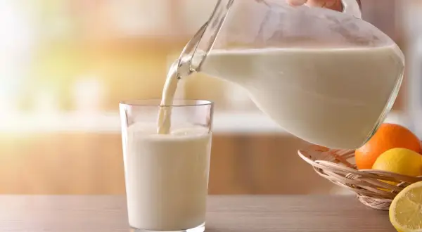 Mleko bez laktozy nalewane do szklanki. Czy mleko bez laktozy jest zdrowe? W koszyku owoce: pomarańcze i cytryny.