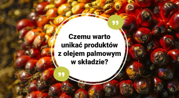 Kępki owoców palmy olejowej, z tekstem: "Czemu warto unikać produktów z olejem palmowym w składzie?".