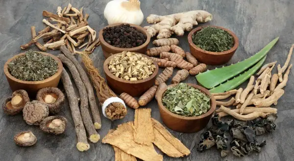 Zioła i korzenie, w tym imbir, kurkuma, lukrecja, czosnek i aloes, które mogą być przykładem tego, co to adaptogeny.