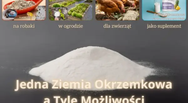 Ziemia okrzemkowa zastosowanie: na robaki, w ogrodzie, dla zwierząt, jako suplement. Jedna ziemia, wiele możliwości.