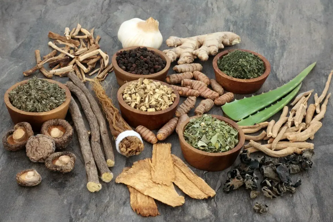 Zioła i korzenie, w tym imbir, kurkuma, lukrecja, czosnek i aloes, które mogą być przykładem tego, co to adaptogeny.