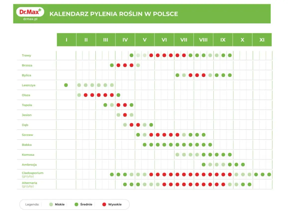 Kalendarz pylenia roślin w Polsce. Czerwone kropki oznaczają wysokie stężenie pyłków, które mogą wywołać alergię.