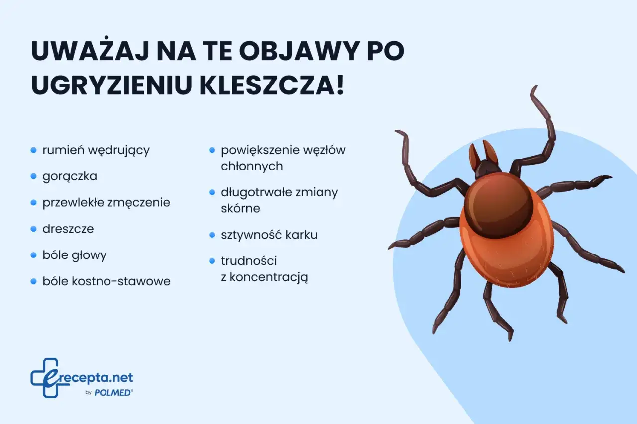Uważaj na objawy po ugryzieniu kleszcza: rumień, gorączka, zmęczenie, bóle głowy i stawów, powiększone węzły chłonne, sztywność karku, trudności z koncentracją.