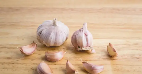Dwie główki czosnku i kilka ząbków na drewnianym tle. Czosnek niedźwiedzi do czego? Do sałatek, sosów, pesto.