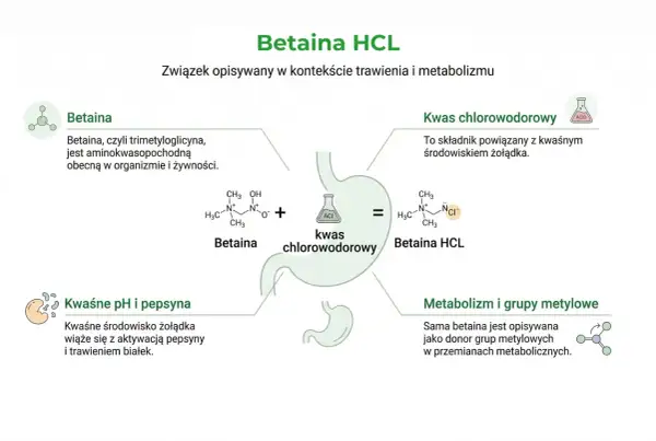 Betaina HCL to związek, który powstaje z betainy i kwasu chlorowodorowego. Betaina, czyli trimetyloglicyna, jest ważna dla trawienia.