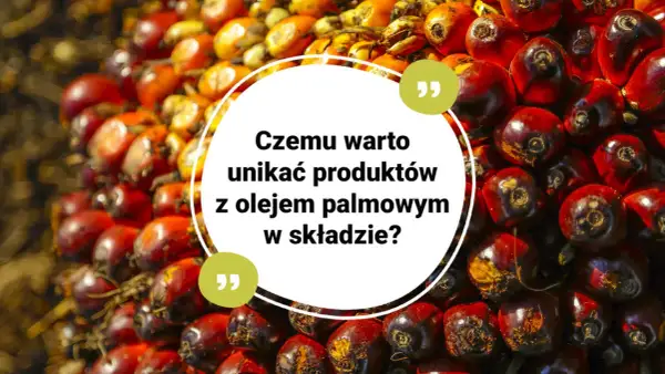 Kępki owoców palmy olejowej, z tekstem: "Czemu warto unikać produktów z olejem palmowym w składzie?".